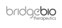 Bridgebio Therapeutics, inc. Logo